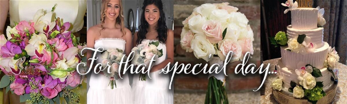 Special-Day-Slider---1340x402